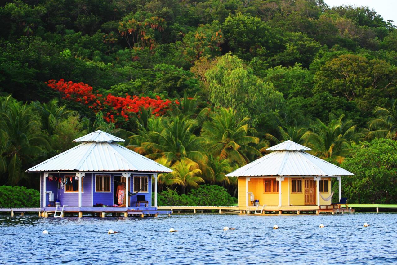 Mango Creek Lodge Port Royal Eksteriør bilde