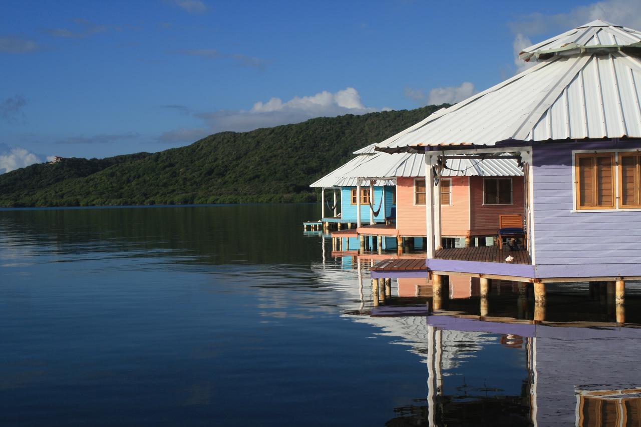 Mango Creek Lodge Port Royal Eksteriør bilde