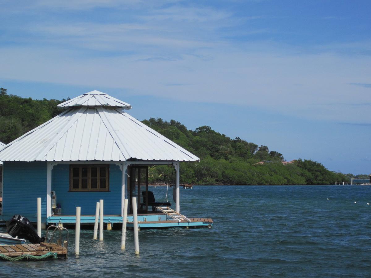 Mango Creek Lodge Port Royal Eksteriør bilde