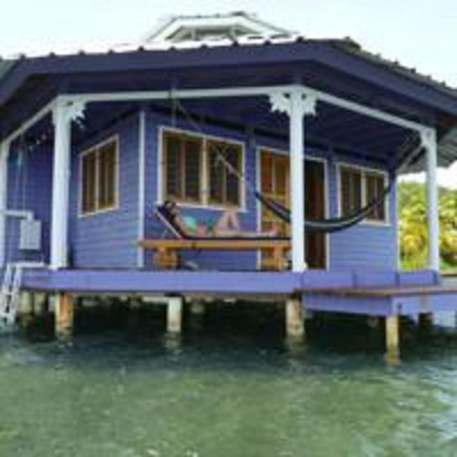Mango Creek Lodge Port Royal Eksteriør bilde