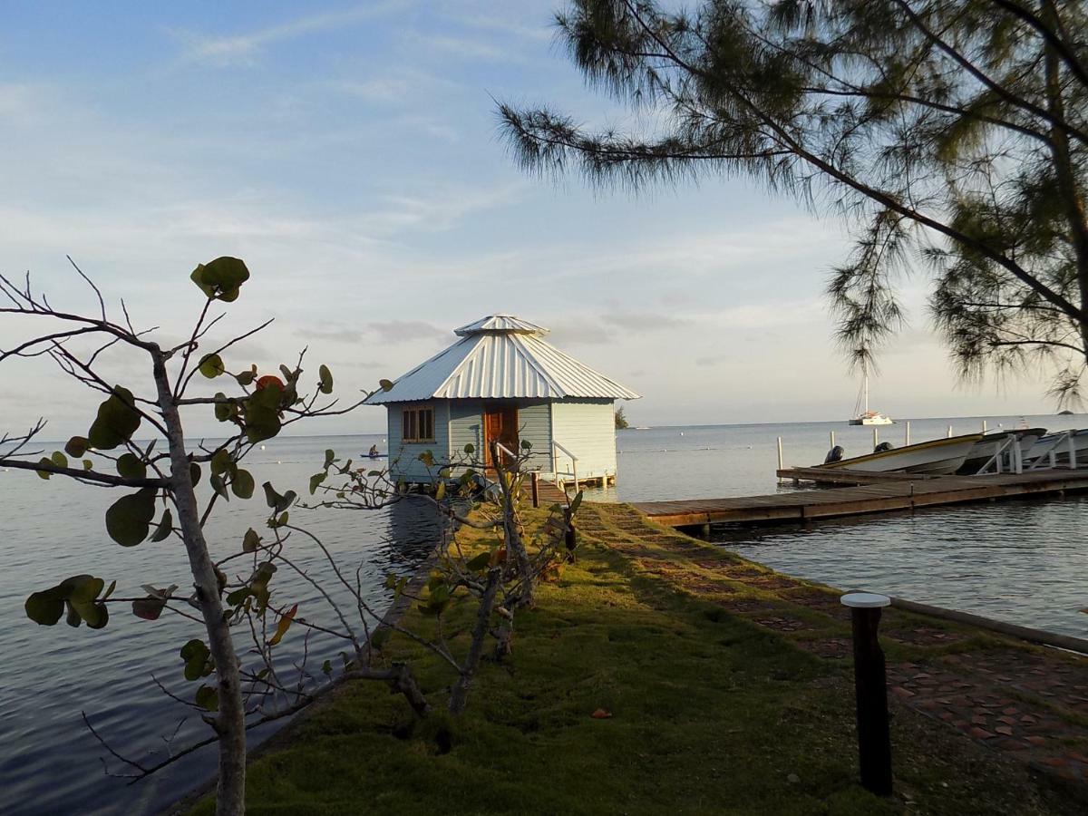 Mango Creek Lodge Port Royal Eksteriør bilde