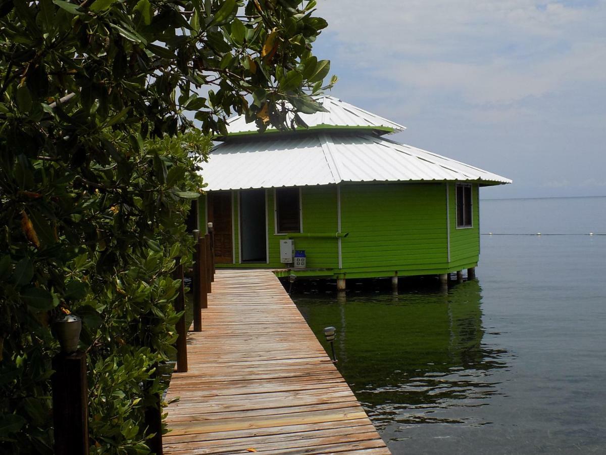 Mango Creek Lodge Port Royal Eksteriør bilde