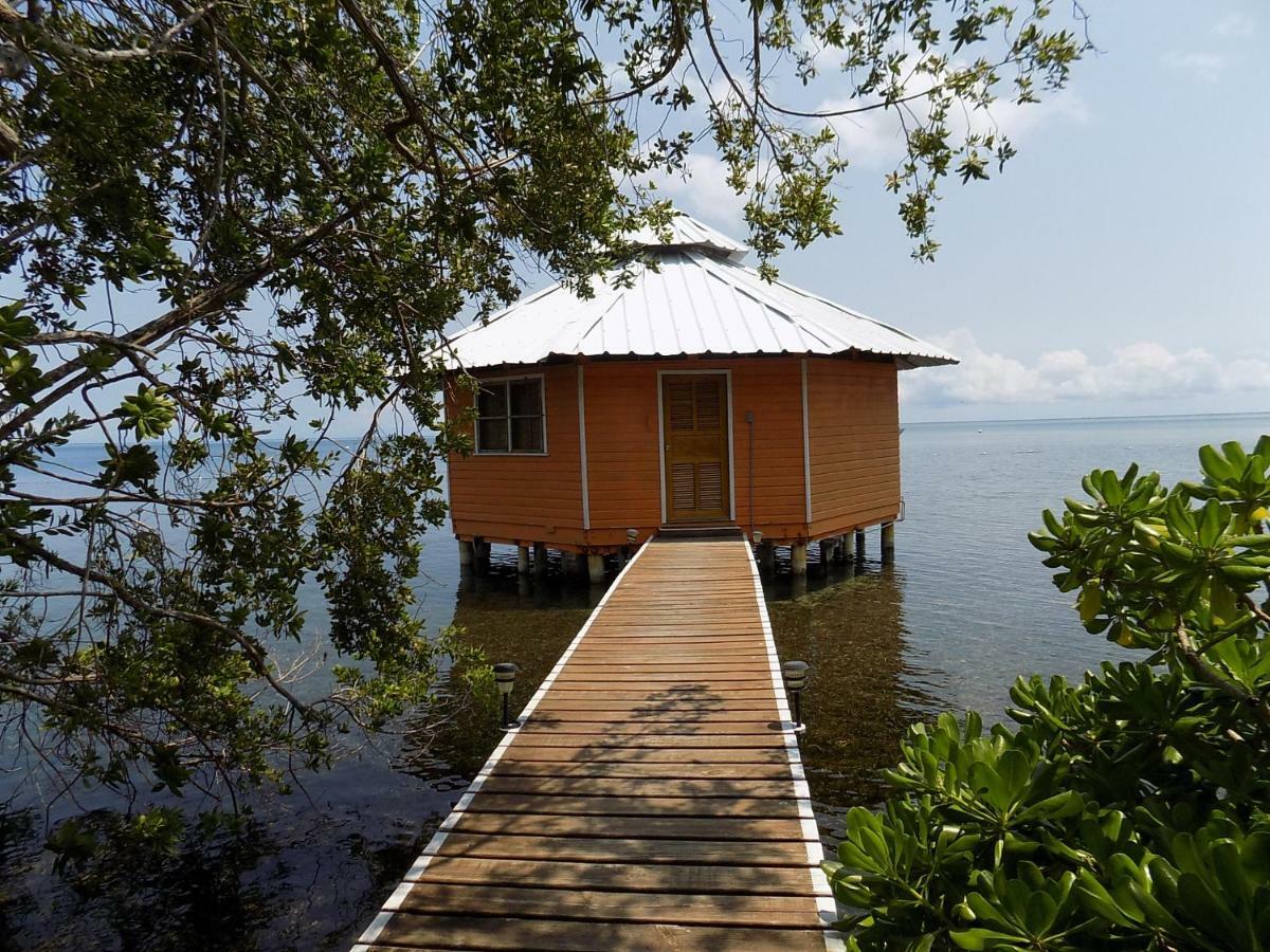 Mango Creek Lodge Port Royal Eksteriør bilde
